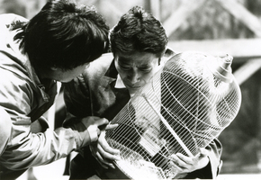 ここからは遠い国